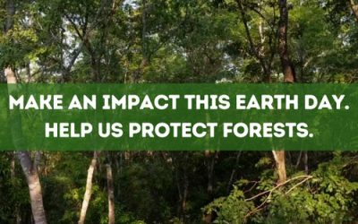 Earth Day 2023