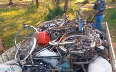 Illegal charcoal patrols