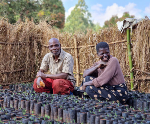Henderson and Fanny are glad to be addressing deforestation by planting trees in Malawi Henderson and Fanny are glad to be addressing deforestation by planting trees in Malawi