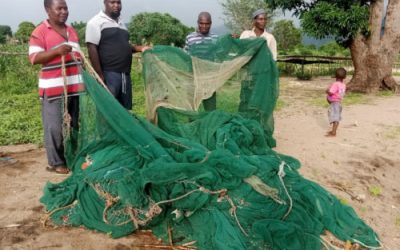 Confiscating more mosquito nets