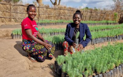 Celebrating our tree team this International Women’s Day